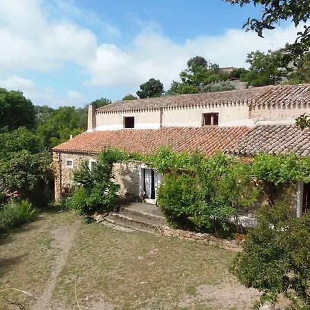 Bed & Breakfast Casa Lussu *